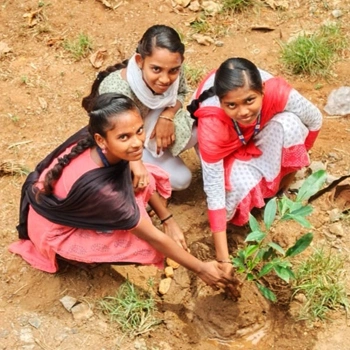 College gallery photo